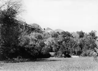 Wooded slope at Lapithos with a row of arches on the ridge above a grassy field