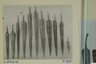 Row of eleven leaf-shaped metal weapon blades with tangs, photographed for the Lapithos finds