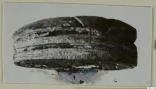 Dark stone object with pale horizontal banding, possibly a scarab, shown on a mounted card