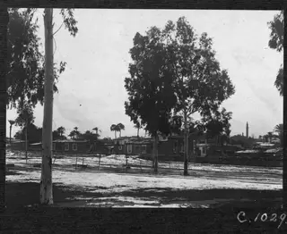 Minaret rising above low houses and trees in the background, with open ground in the foreground.