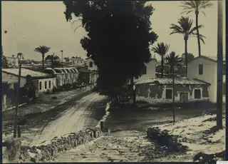 Street in Nicosia in winter with carts parked beside domed roofs, palm trees and whitewashed houses