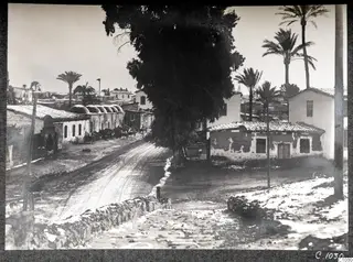 Street in Nicosia lined with domed buildings and several parked carts, with a large tree and palm trees behind