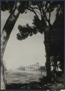 Tree trunks frame a view across open ground and a strip of water to buildings at Nicosia