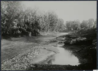Stream with gravel banks and a line of tall trees along the left bank, at Nicosia