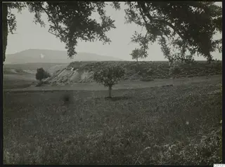 Grassy field with small trees and a low mound of pale earth, with hills behind, at Marion