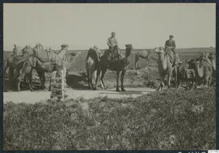 Camels with packs on a dirt road at Marion, two men riding and others standing beside them in open country.