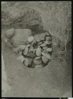 Excavation at Tomb 8 at Marion: a round opening in the soil packed with stones, with roots on the earth face.