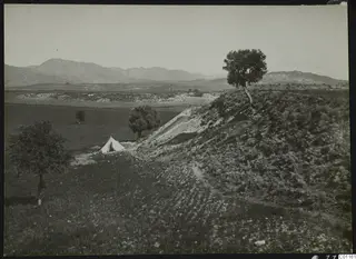 Mountains, a lone tree and a white tent on a grassy slope at Marion