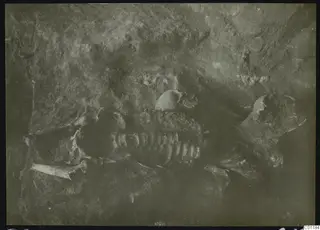 Skeleton in Tomb 9 at Marion during excavation, with skull and ribs visible in the soil.