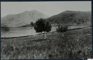 Open grassy field with two small trees, with hills and a mountain rising behind a pale flat plain.