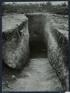Dromos of Tomb 25 at Marion, a stepped passage cut into the ground leading down to a dark tomb opening