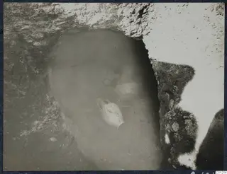 Interior of rock-cut Tomb 40 at Marion, with a two-handled vessel sitting on the chamber floor