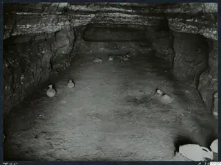 Interior of rock-cut Tomb 25 at Marion with small vessels scattered across the floor