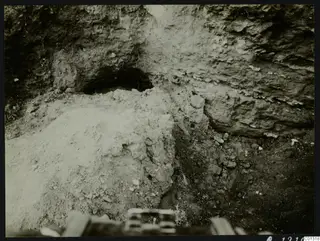 Excavation at Marion showing a dark rounded opening in a cut earth face, with stones and small roots.