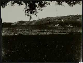 Landscape at Marion with a low grassy ridge, dark grass in the foreground and tree branches across the top