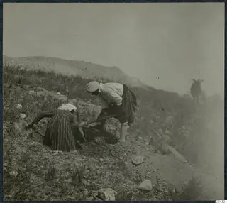Two people digging with picks on a grassy hillside at Marion