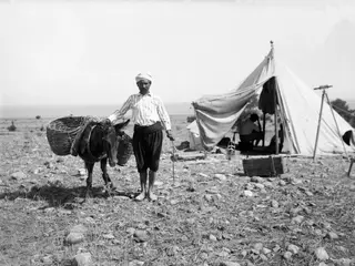 The water carrier Hassan leads a donkey with wicker baskets in front of a field tent at Marion.