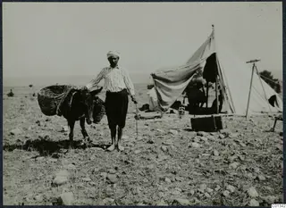 A man standing beside a donkey with wicker baskets, with a large white tent and a tripod at Marion