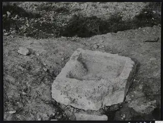 Rectangular stone trough with a rounded lump rising inside its hollow, lying on stony ground with low scrubby plants behind.