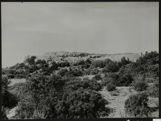 Rocky hilltop with dense scrub bushes on the slope, at Nitovikla on the Karpas Peninsula