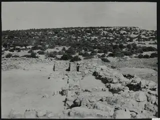 Low stone walls and fallen stones among scrub at Nitovikla, with a hillside of bushes behind