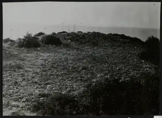 Stony ground with low scrub and a rounded rise running toward the sea at Nitovikla on the Karpas peninsula