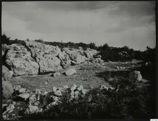 Rocky scrubland at Nitovikla on the Karpas Peninsula, with limestone boulders and low shrubs.