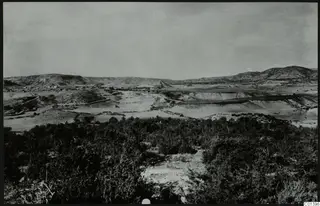 Wide view over Nitovikla on the Karpas Peninsula, with rounded hills and a valley beyond dense scrub in the foreground.