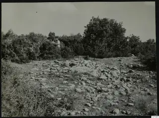Scattered stones and scrub at Nitovikla on the Karpas Peninsula, with a person standing among the bushes