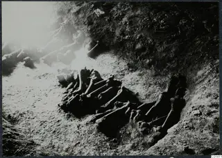 Tomb 10 at Ayios Iakovos: skeleton lying in the tomb chamber during excavation