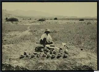 John Lindros crouching beside rows of skulls from Tomb 8 at Ayios Iakovos, on open ground with hills behind