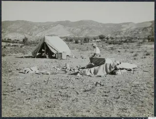 Erik Sjöqvist seated beside a wind-blown tent on dry ground, with hills behind, at Ayios Iakovos