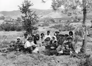 Group of people seated on dry grass under a pine tree at Ayios Iakovos during a lunch break