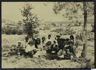 Group of about fifteen people sitting together during a lunch break in open scrubland under a pine tree