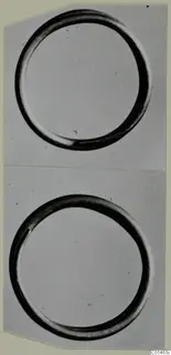 Two photographs of a plain circular hair-ring, one above the other on a card
