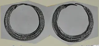 Two views of a ring of several twisted strands, one end tapering to a point, mounted side by side on a grey card
