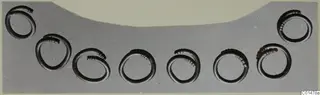 Eight coiled rings in round recesses of a grey mount, finds from Marion tombs 46–60