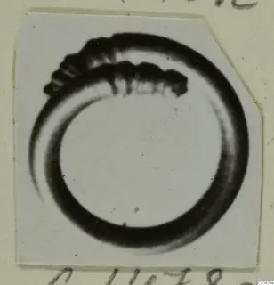 Ring from Tomb 60 at Marion, a thick dark band with a ribbed coil, shown on a pale ground.