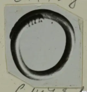 Ring from Tomb 60 at Marion, shown as a thick dark ring on a pale print mounted on a cream card.