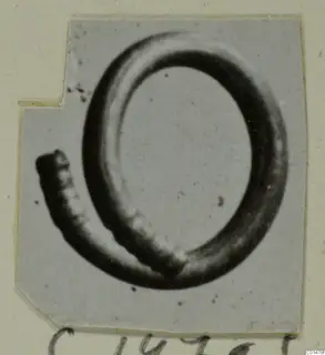 Coiled ring from Marion, a spiral of about one and a half turns with a tapering end.