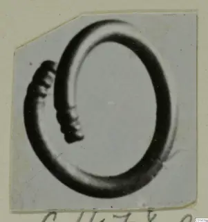 Ring of thick wire with ribbed, coiled ends, from Marion, shown on a card mount