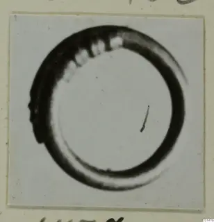 Ring from Marion: a thick dark circular band on a pale card, with lighter ridges along its upper edge.