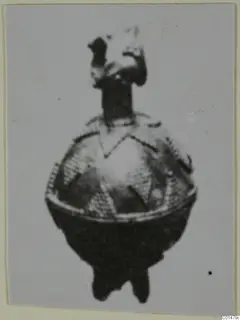 Blurred photo of a small object with a rounded body, narrow stem and fine lattice pattern, mounted on card