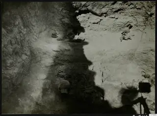 Excavated pit in pale earth with a human skull, broken sherds and several vessels in situ, with a camera tripod at lower right.