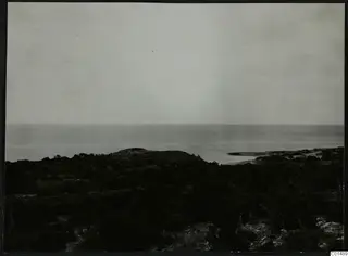 Coastal scrubland at Nitovikla on the Karpas peninsula, with the sea stretching to the horizon.