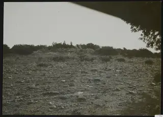 Nitovikla, Karpas: small figures standing on a low rise above stony ground and scrub