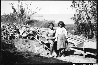 Two children sitting and standing by a wheelbarrow near the shore at Soli, with reeds and sea behind them.