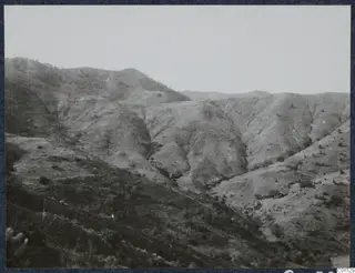 Hilly landscape with steep slopes, dry scrub and a few trees under a pale sky, at Vouni.