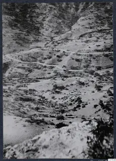 Winding dirt road across dry hills near Vouni, with scrub and scattered trees.
