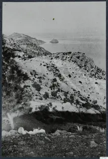 Vouni landscape: dry scrub-covered hills falling to the sea, with a small rocky islet offshore.